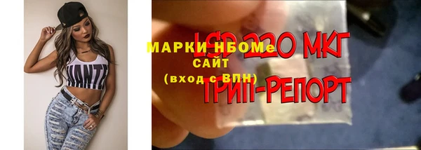 прущие грибы Белоозёрский